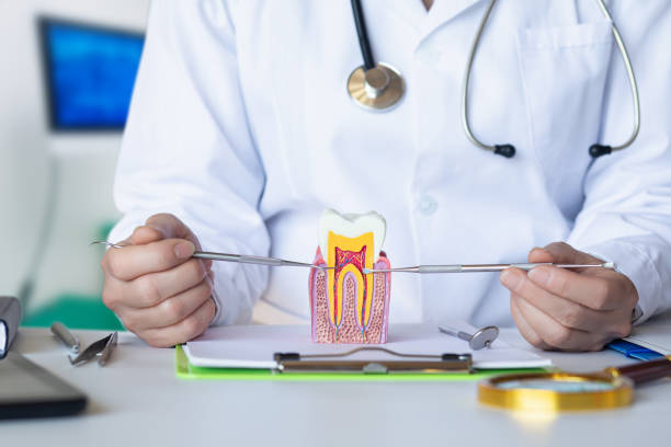 Best Emergency Dentist for Knocked-Out Tooth in Bel Air North, MD